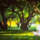 yoga a domicilio valencia